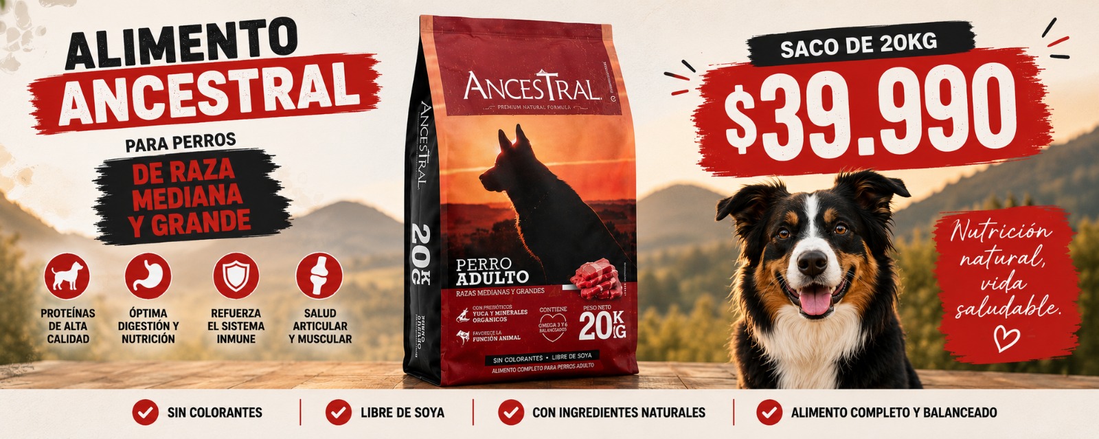 Petslovers - Tienda de alimentos y accesorios para mascotas perro, gatos y exoticos