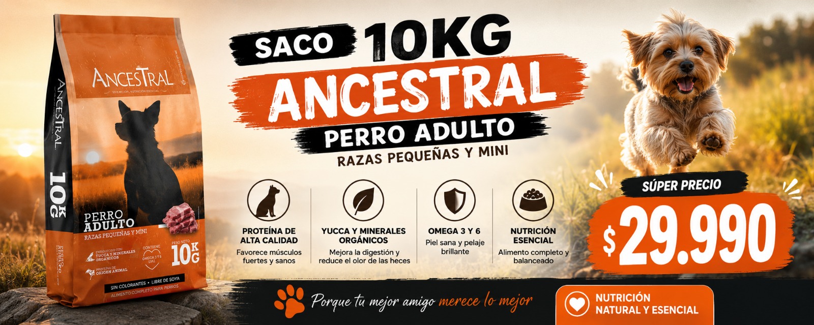 Petslovers - Tienda de alimentos y accesorios para mascotas perro, gatos y exoticos