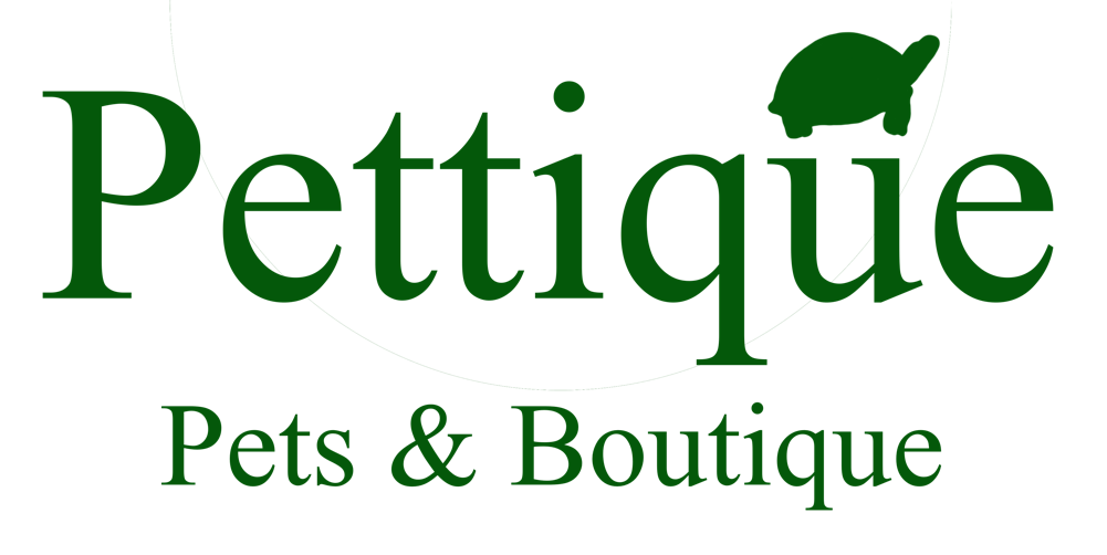 Pettique