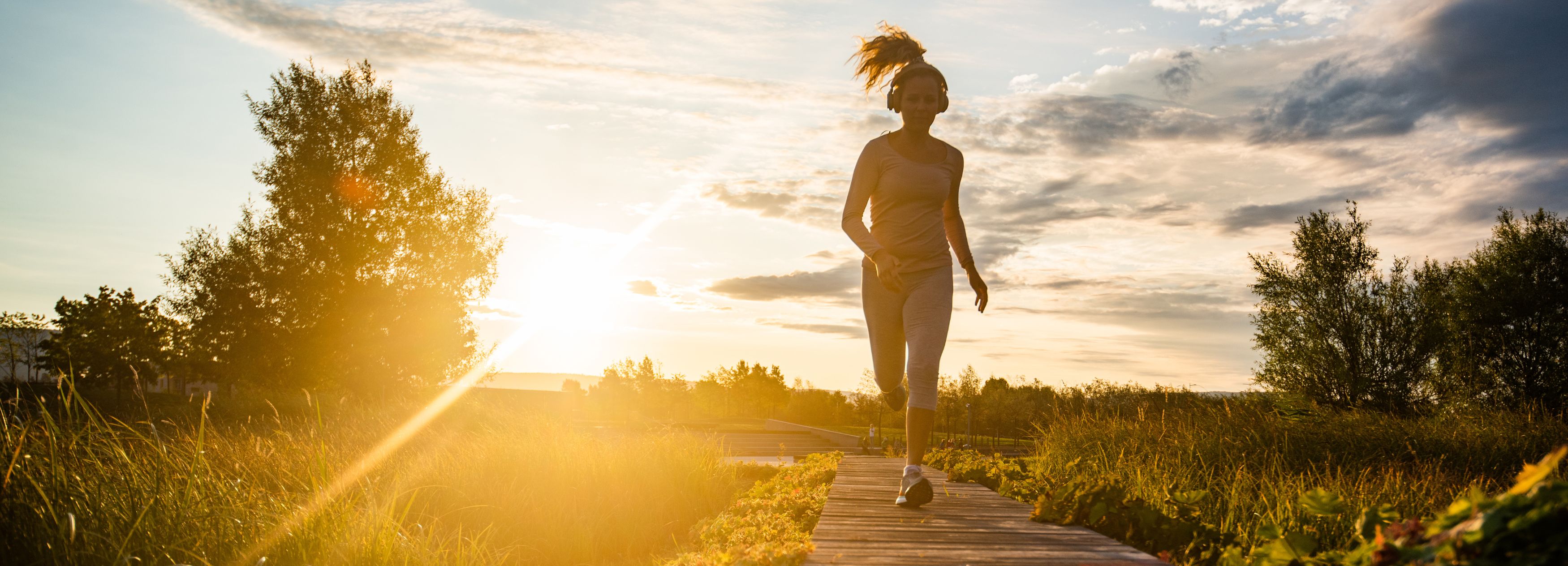 <strong>FORMAG</strong>