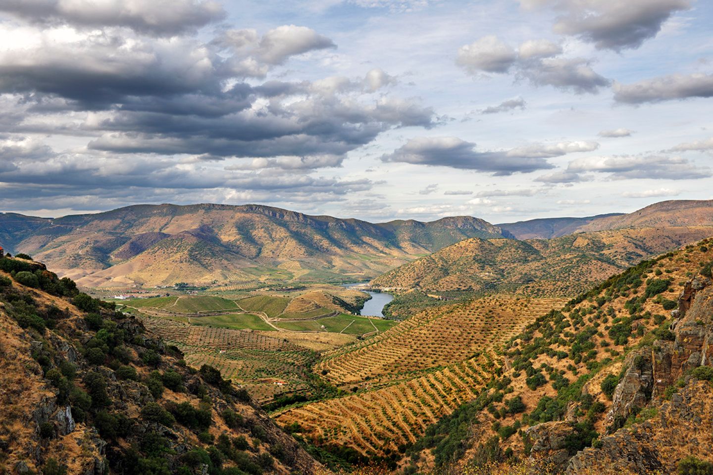 Ouro Líquido de Portugal