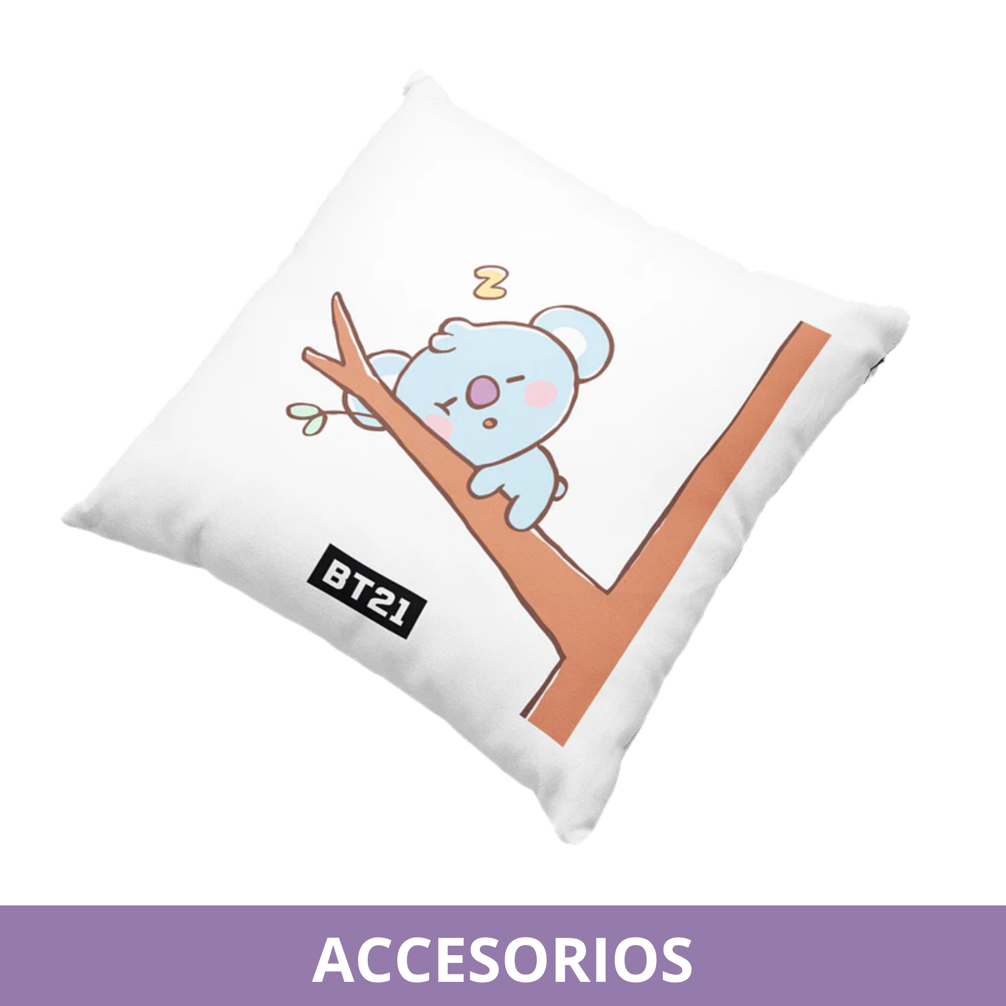 Accesorios