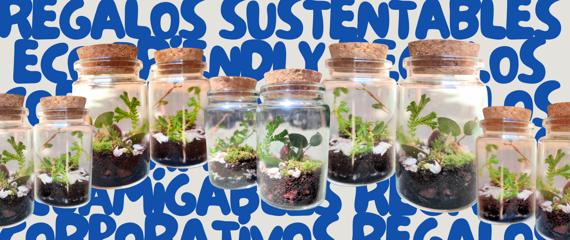 regalos corporativos ecológicos empresariales sustentables verdes para empresas kokedamas musgarios personalizados con plantas souvenirs sostenibles ideas ecológicas obsequios eco-friendly productos innovadores kits de plantas jardinería