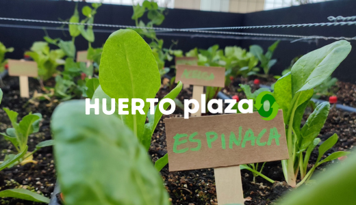 huerto plaza 0