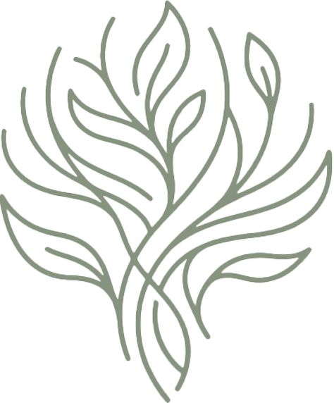 Plantas Pelumpen | Vivero Online