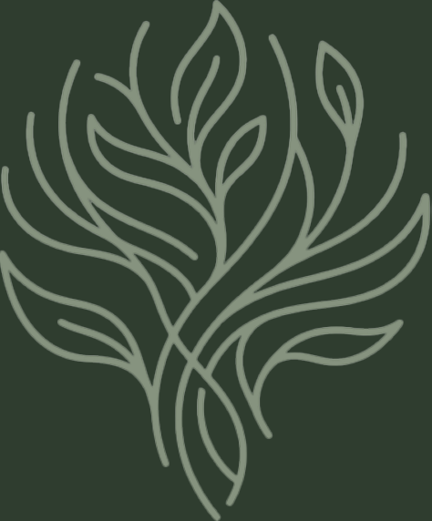 Plantas Pelumpen | Vivero Online