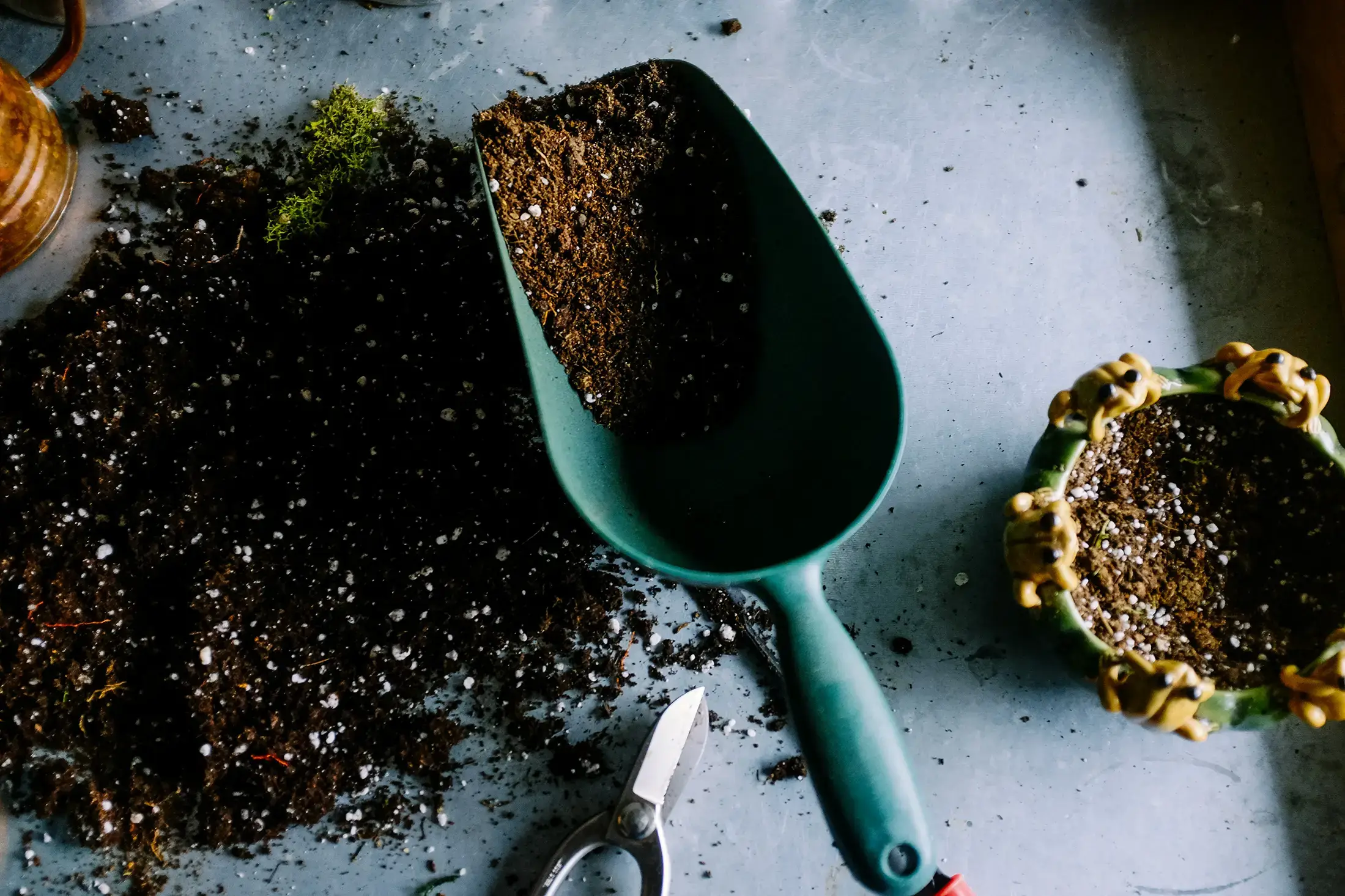 La clave para tener plantas hermosas está en tener un buen sustrato