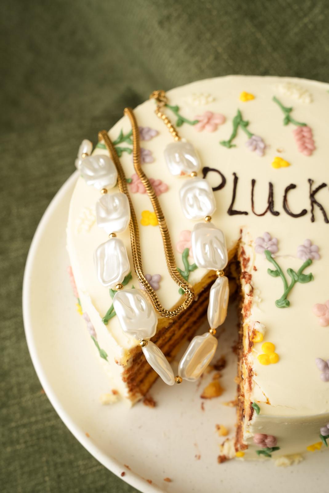 <b>2º Aniversário PLUCKY</b>