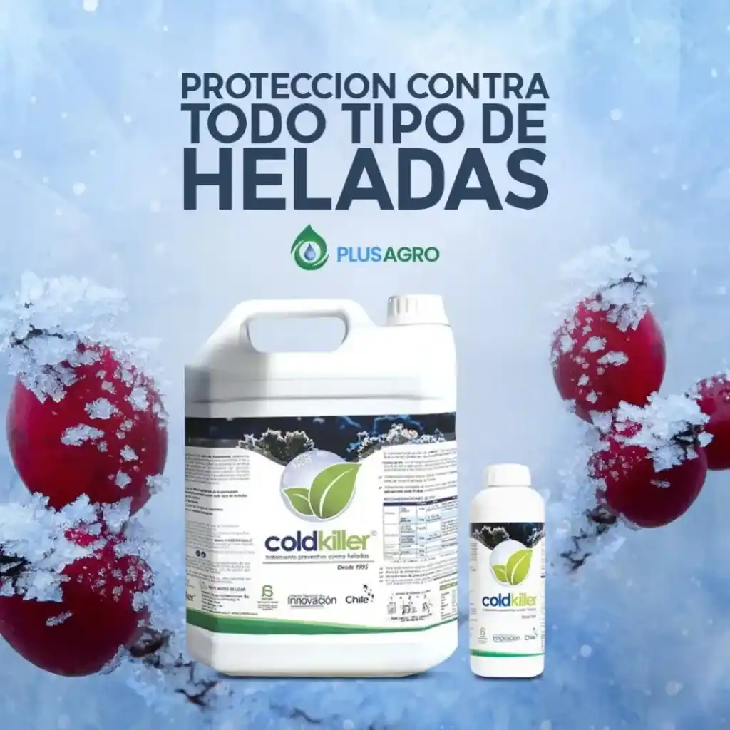 Protección y herramientas