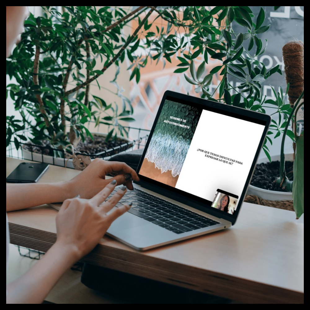 Programa Potencial en Flow