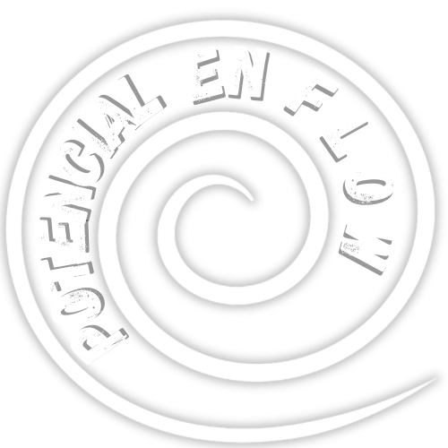 Potencial en Flow