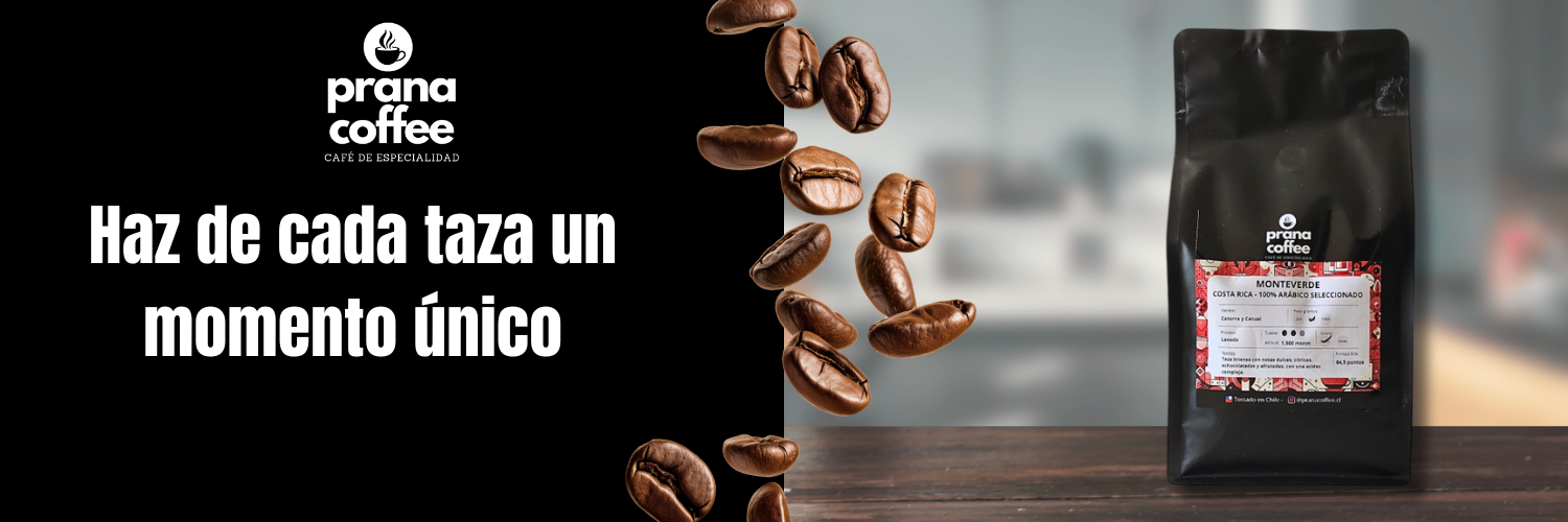 Título de la Sección