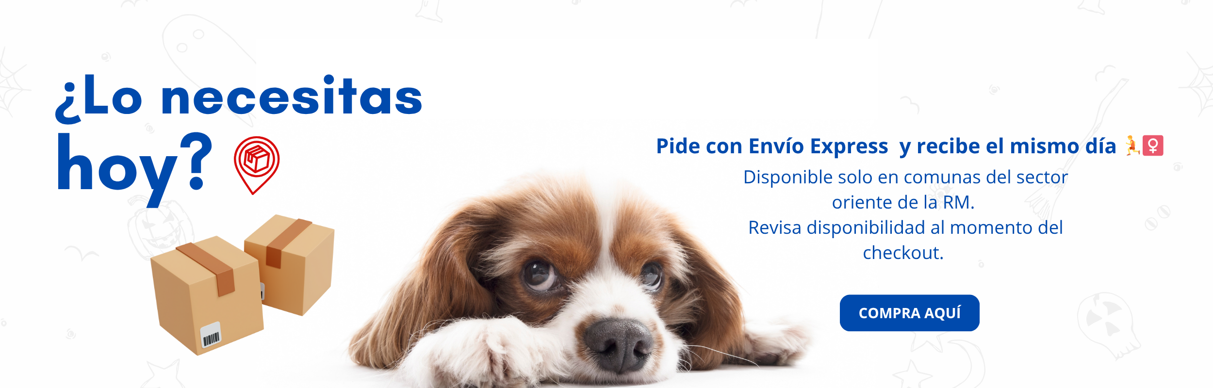Título de la slide