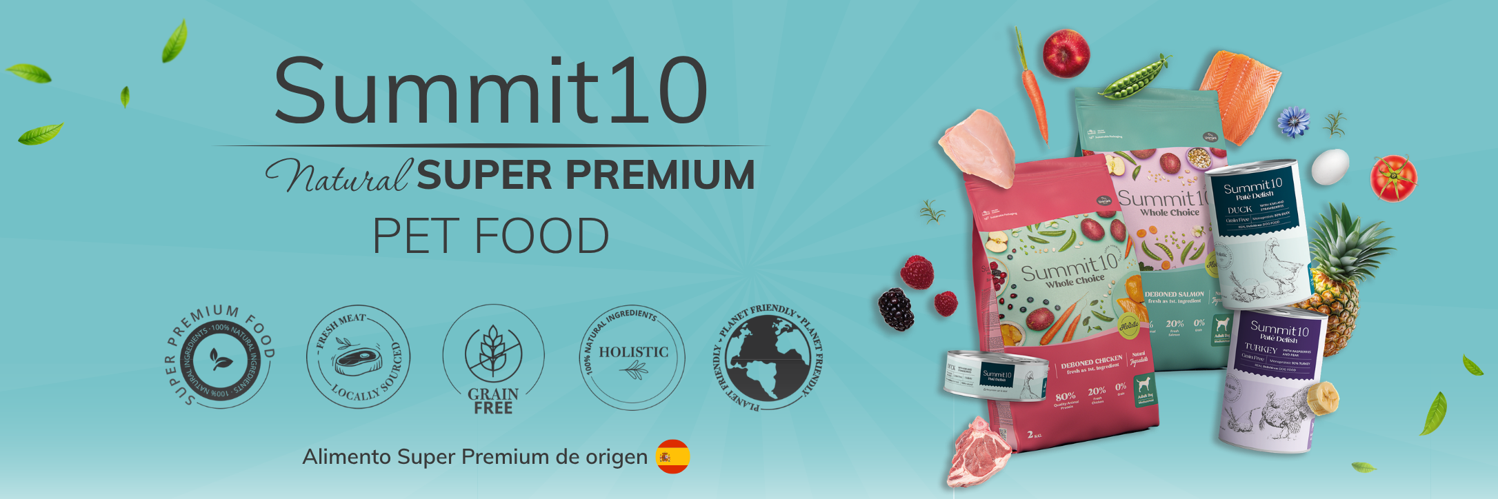 Summit10 