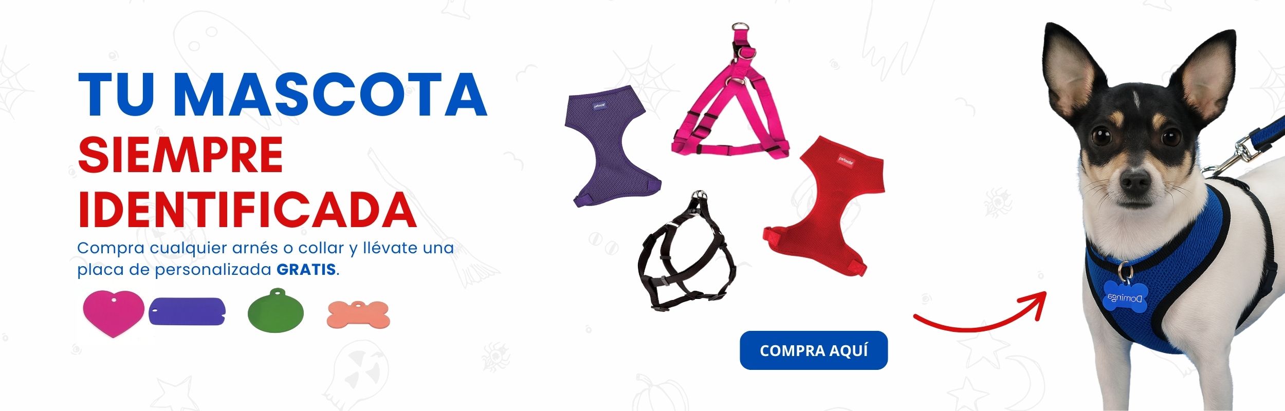 Título de la slide