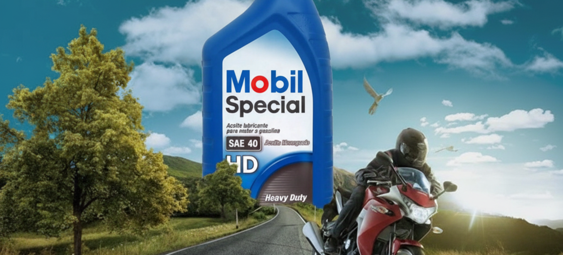 <strong>TODO EN ACEITES Y LUBRICANTES</strong><br>  