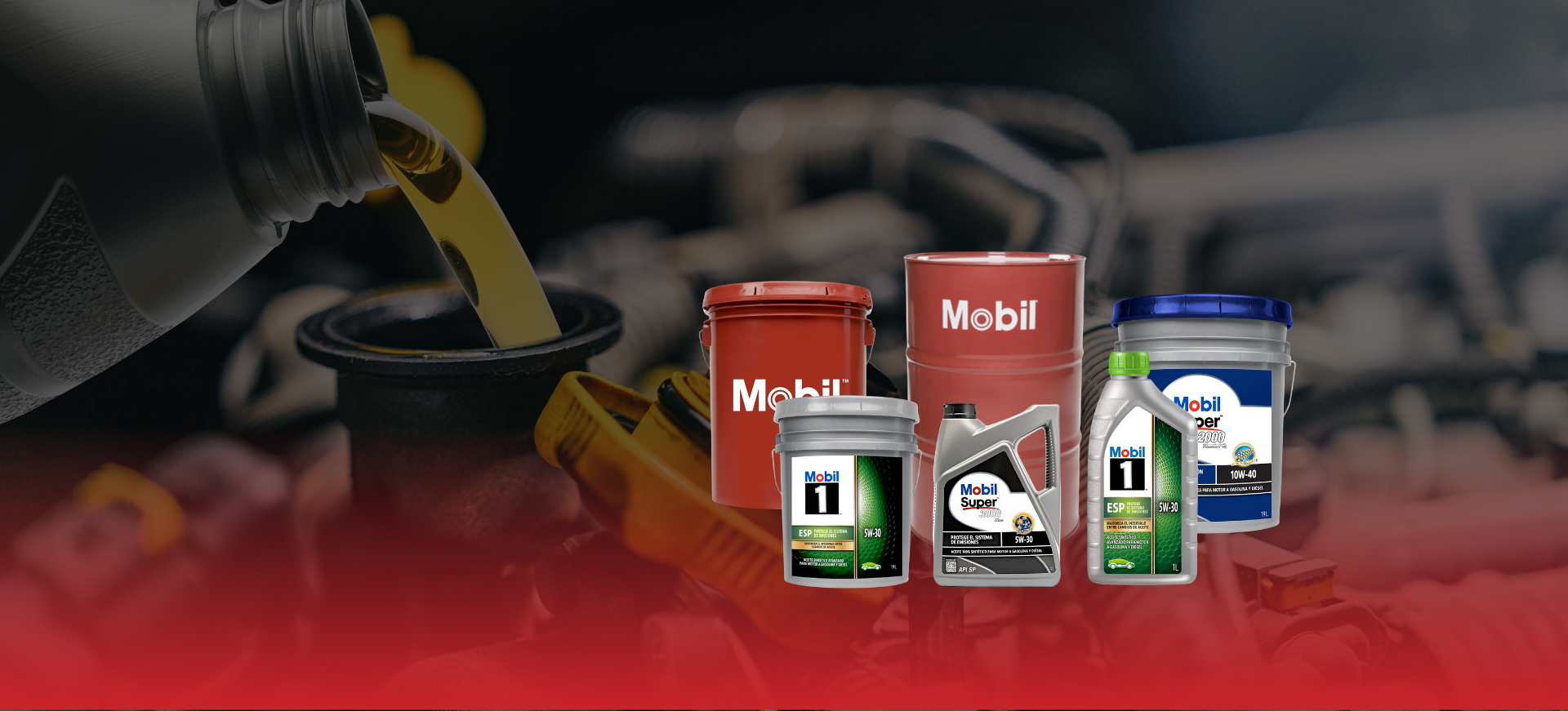 <strong>TODO EN ACEITES Y LUBRICANTES</strong><br>  