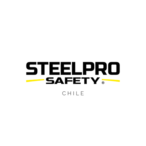 Prosec Chile