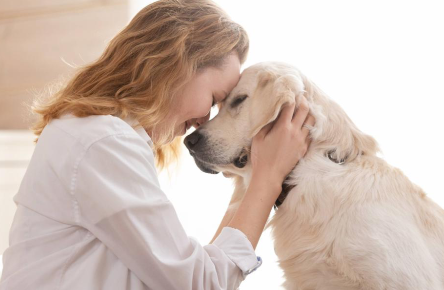 Entre los principales <strong>beneficios</strong> se destacan:<br>