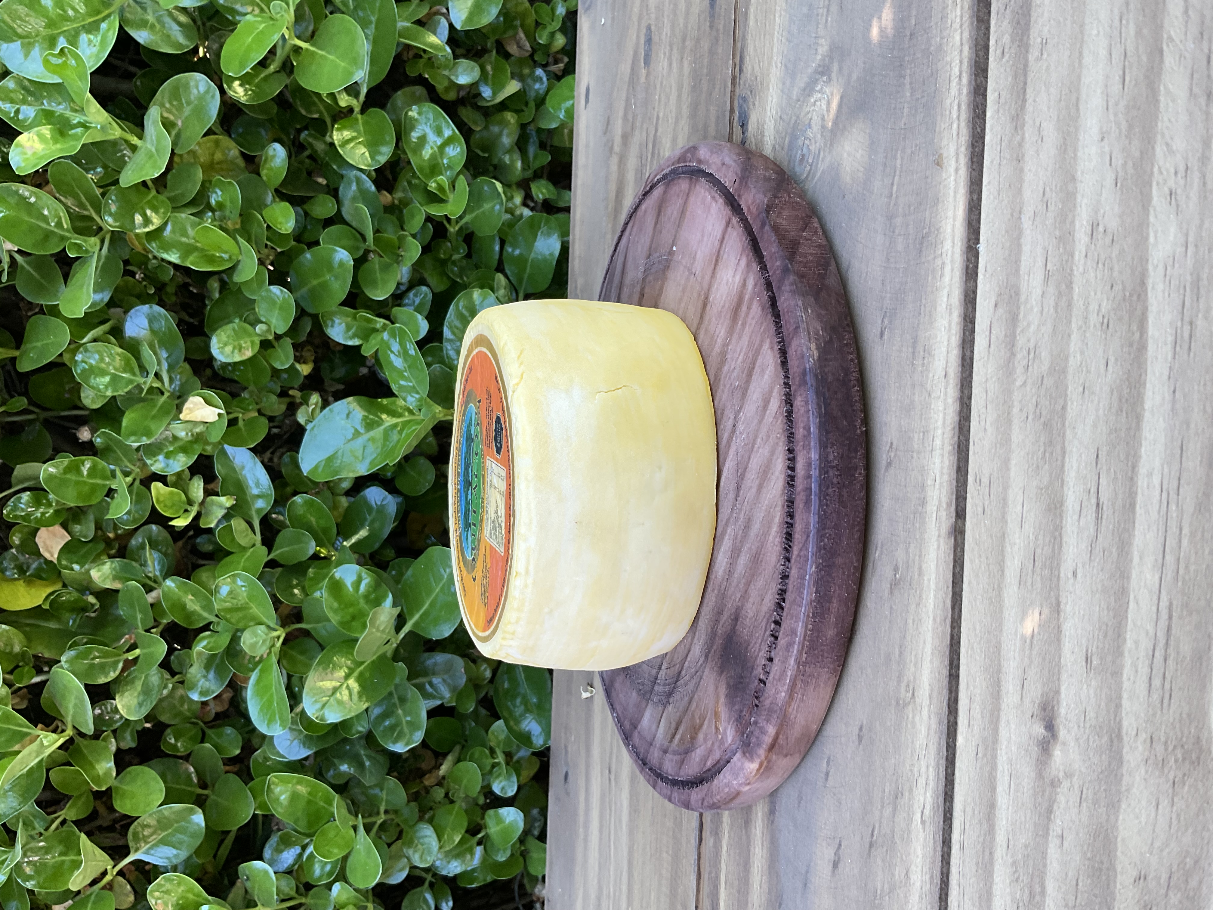 Tradición y Sabor de Chile