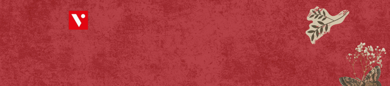 Vicens Vives Banner principal