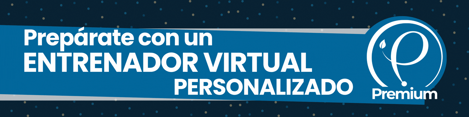 Preuniversitario