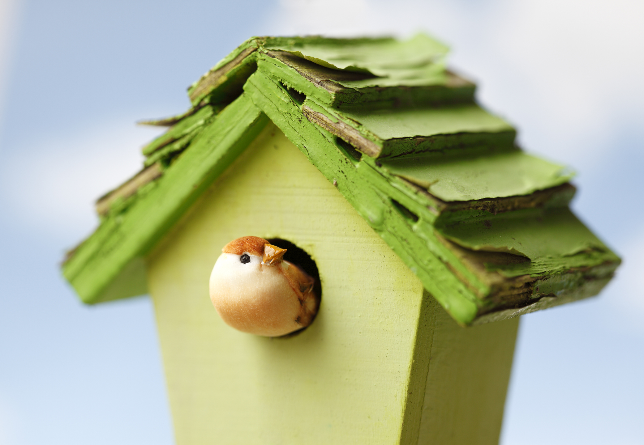 Casita para Aves
