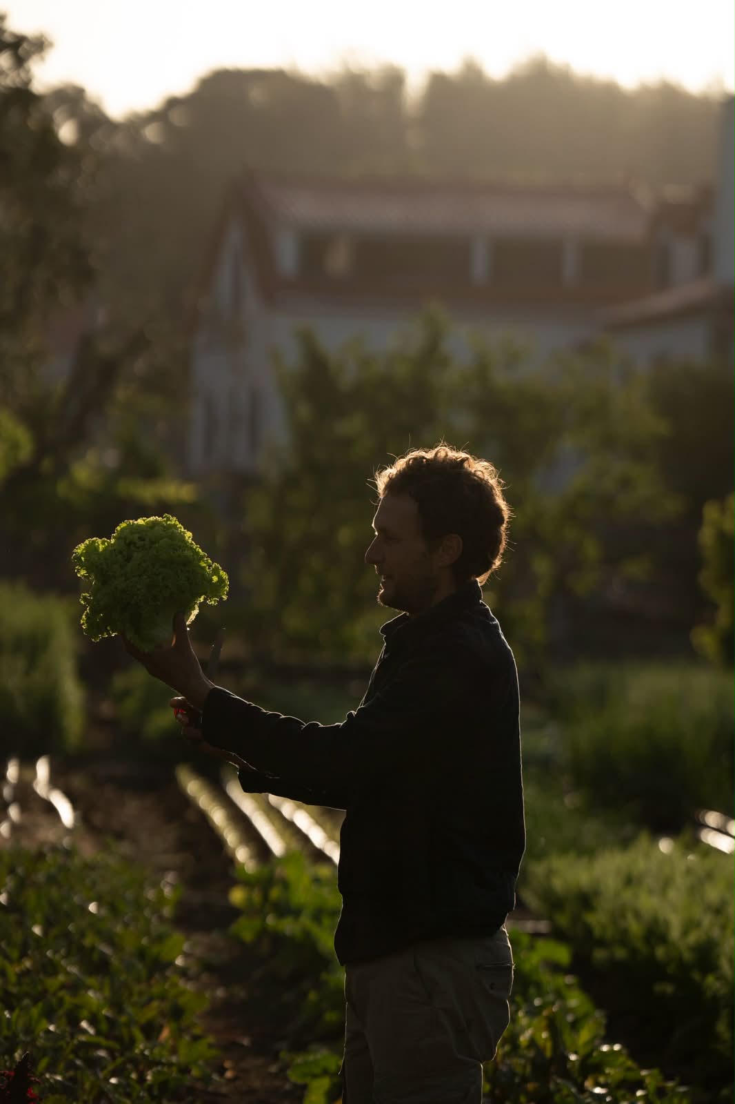try our produce
