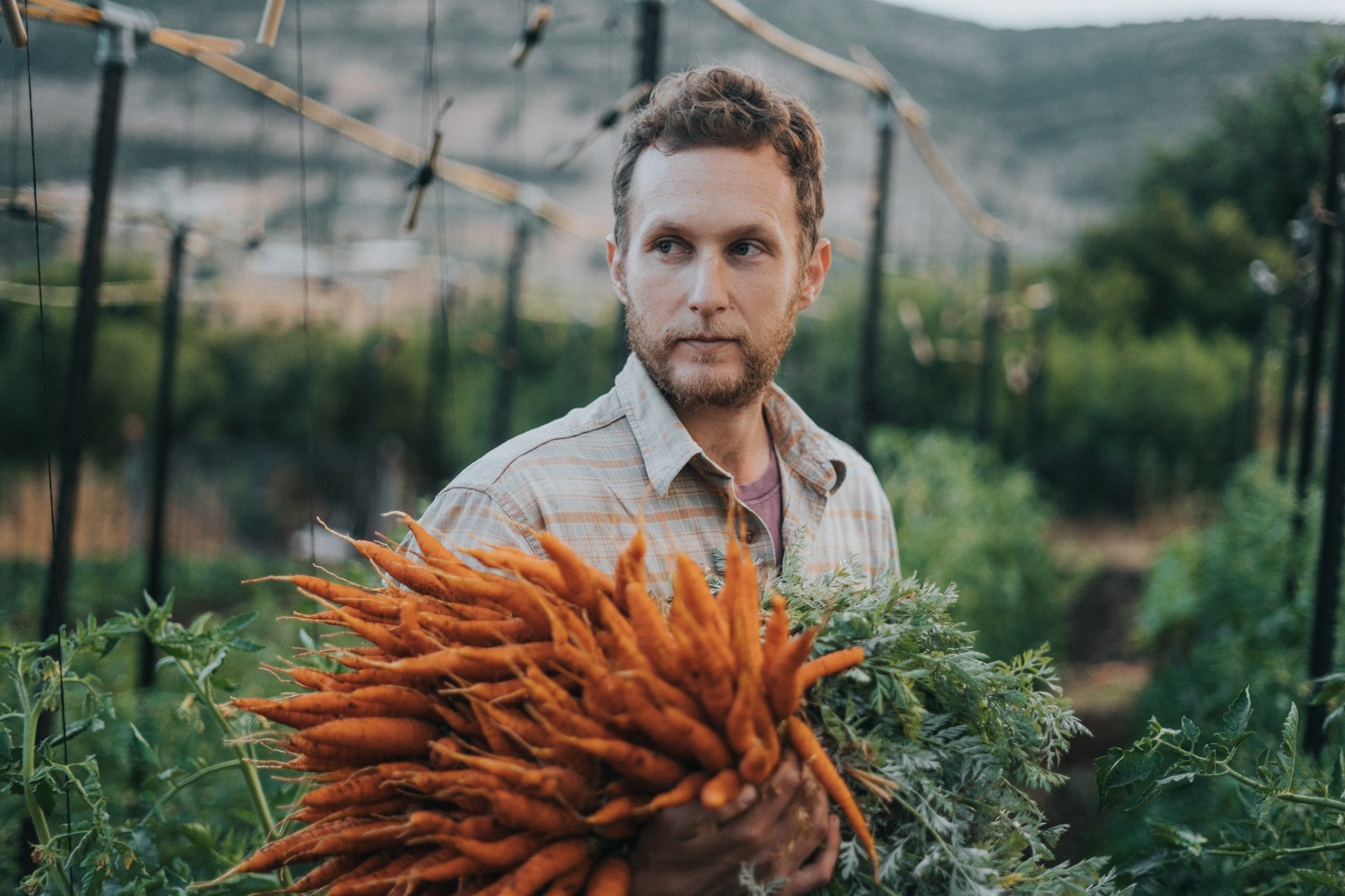 local grown produce deliverd to your door step