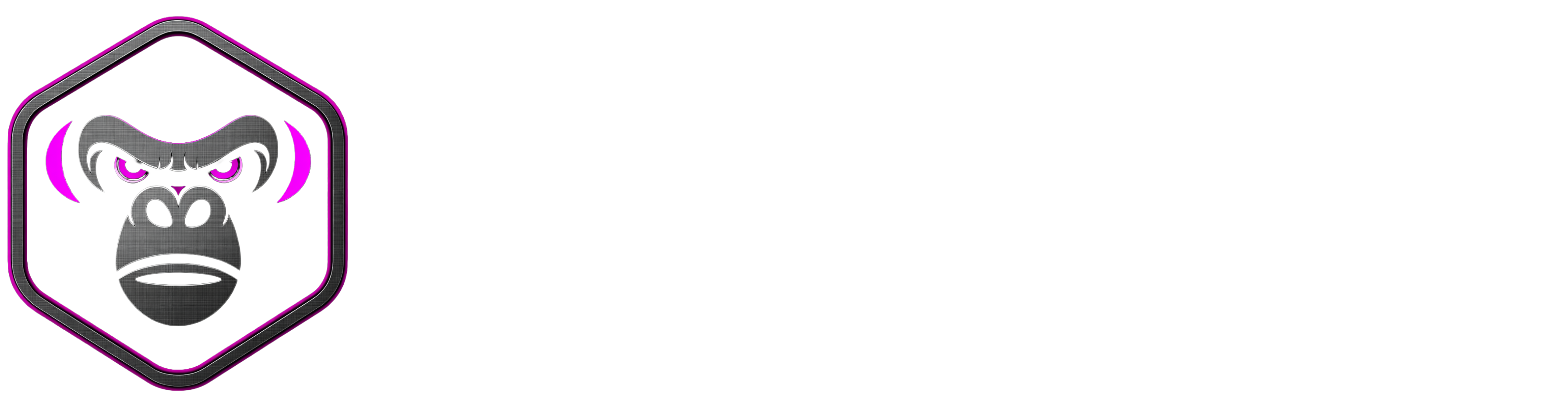 RACE MONKEY COMPONENTS