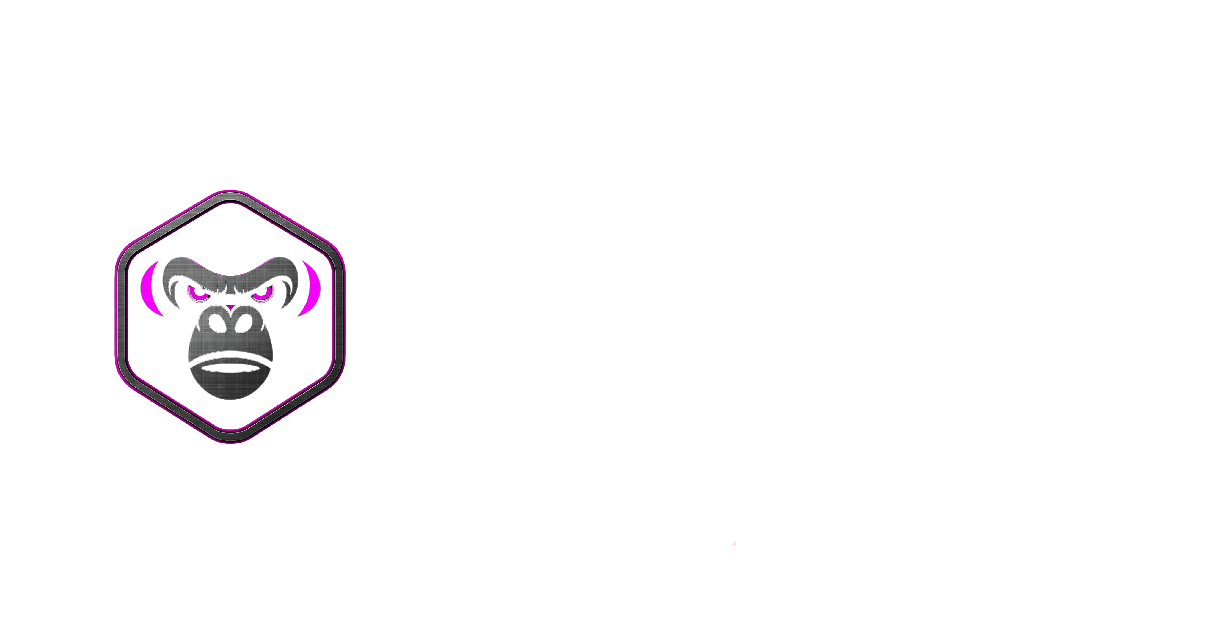 RACE MONKEY COMPONENTS