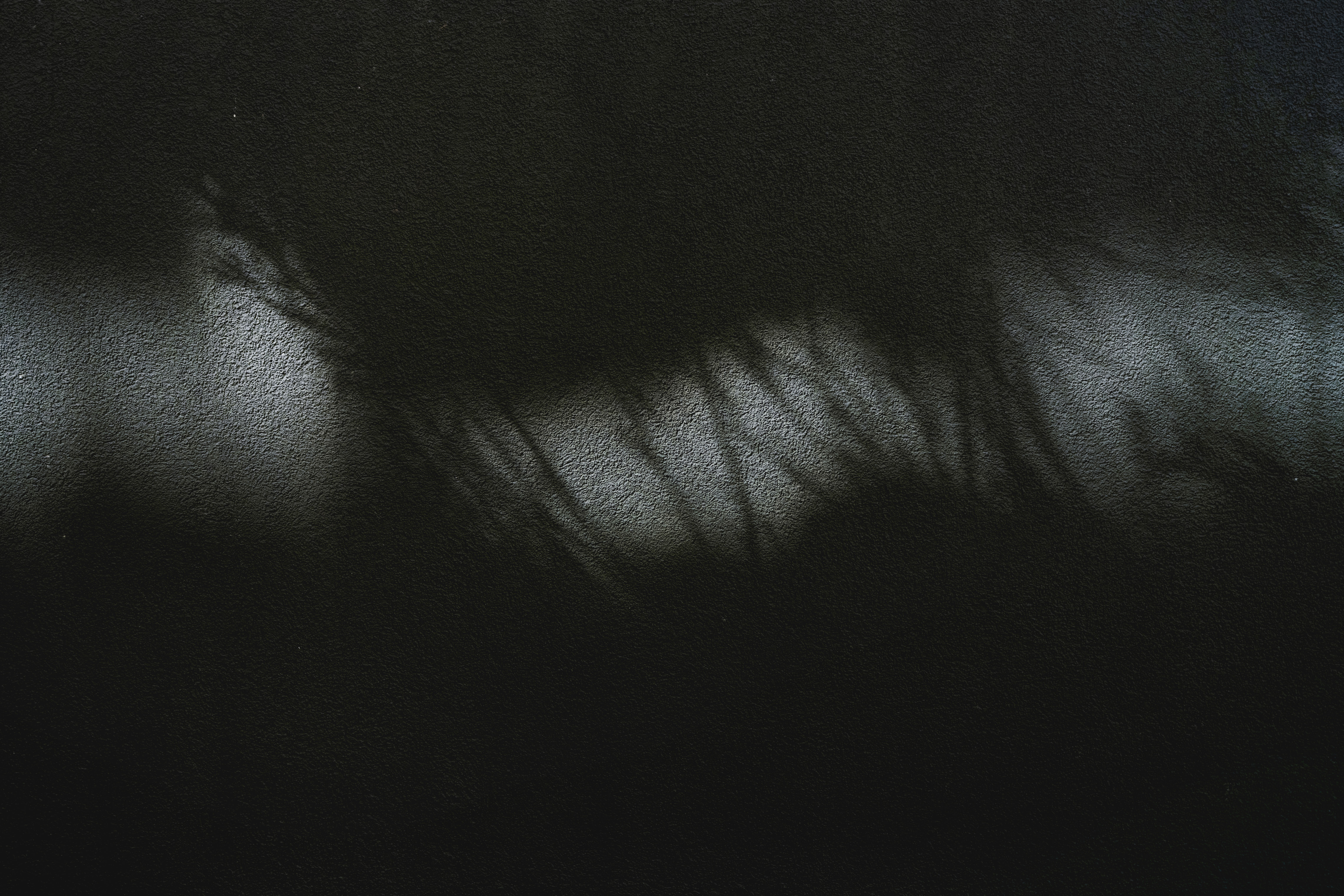 Lo que tus plantas necesitan