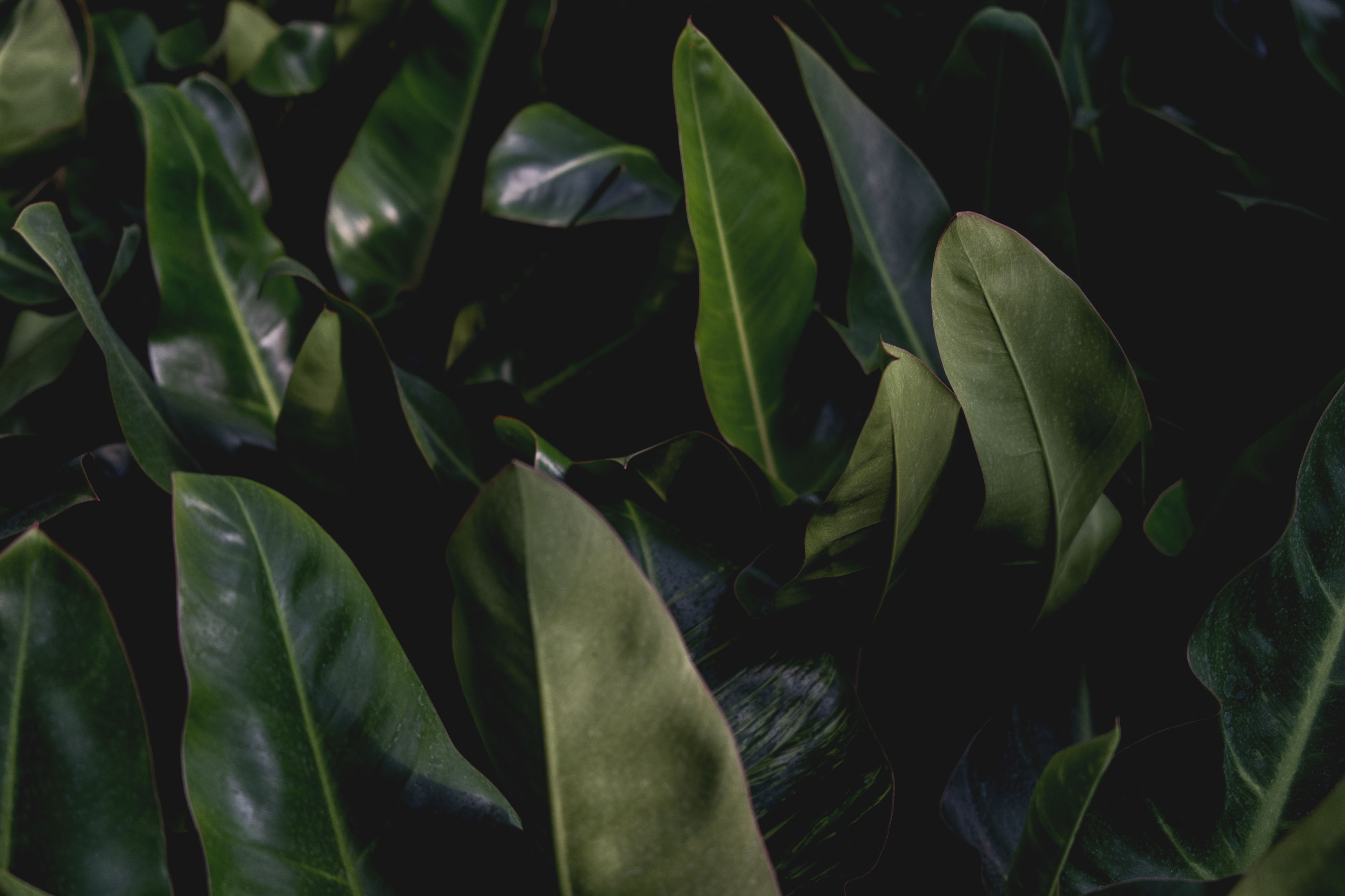 Transforma tus espacios interiores