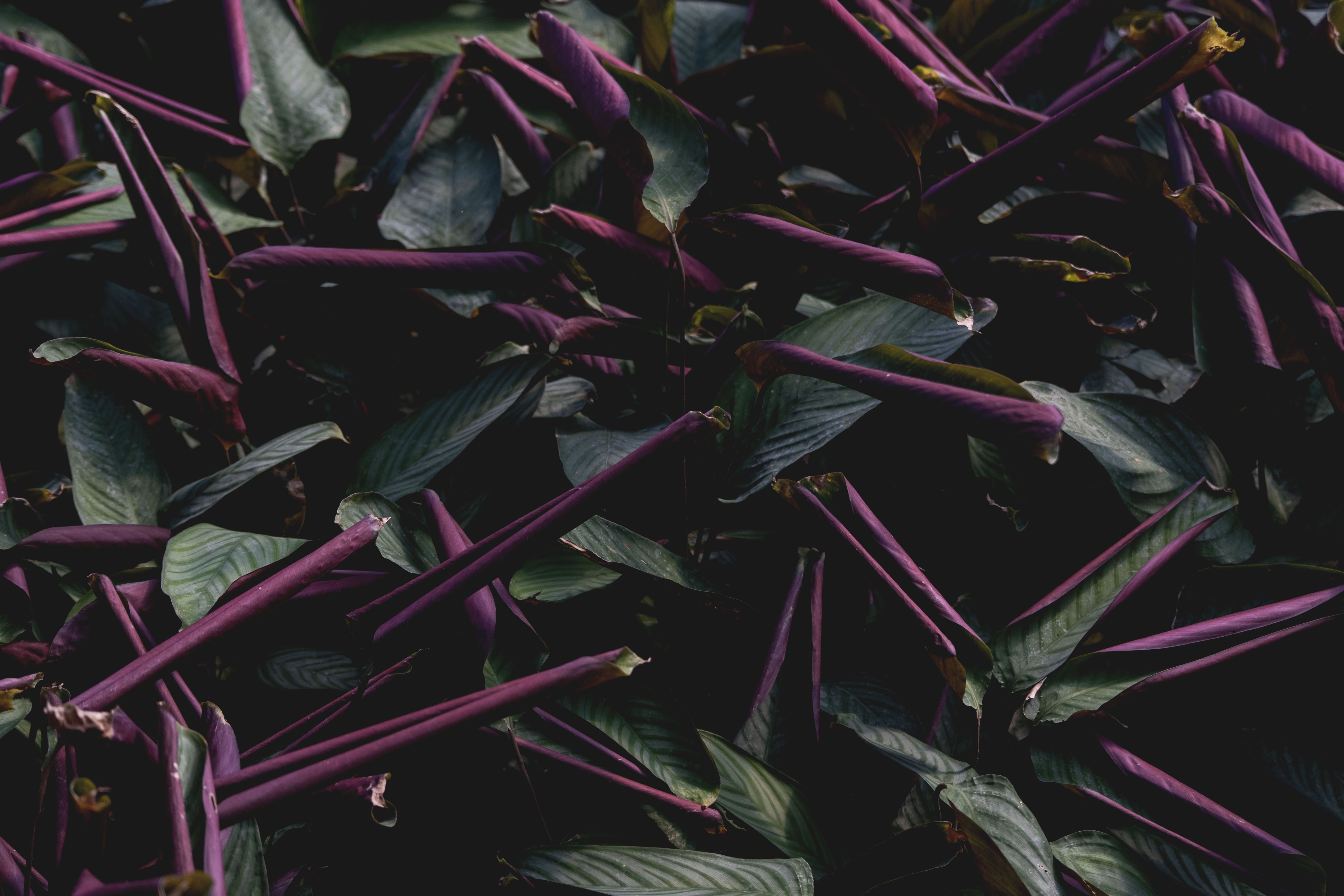 Inspírate y aprende más