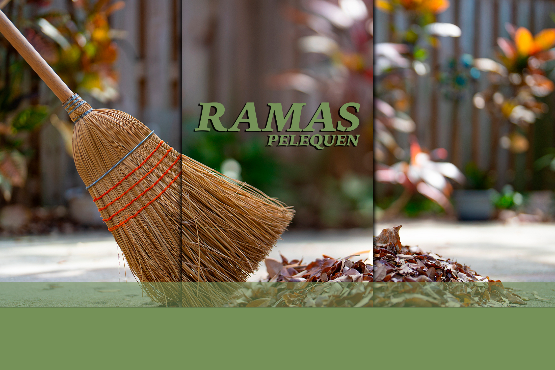 <b>TIENDA OFICIAL</b><br>