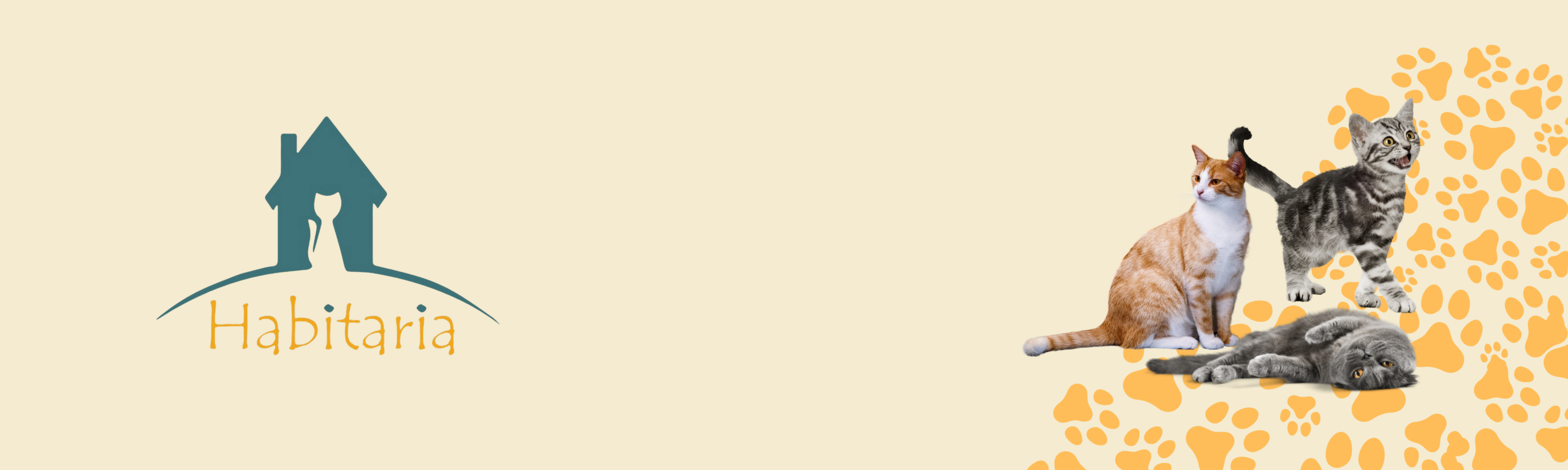 Bienvenido a Starter