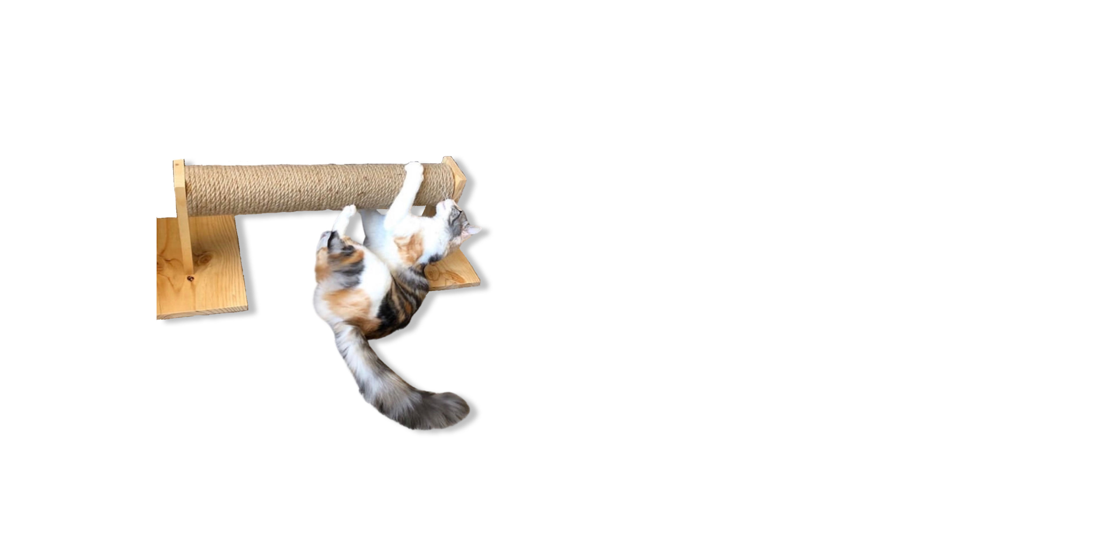 &nbsp; &nbsp; &nbsp; &nbsp; &nbsp; &nbsp; Otros <br>
&nbsp; &nbsp; &nbsp; &nbsp;Productos<br>
<br>
<br>