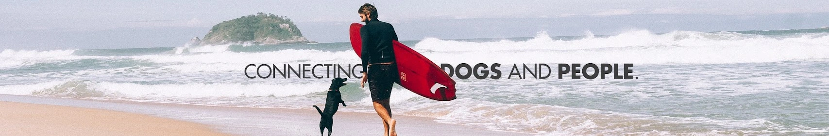 Título de la Sección