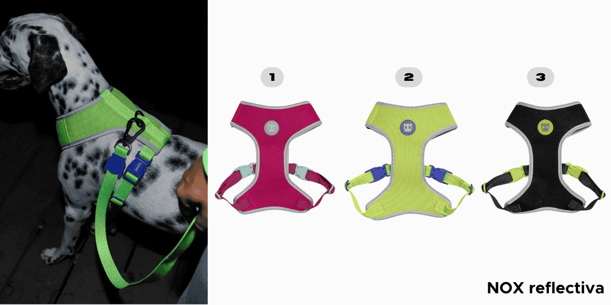 <h3 style="font-size: 24px; font-weight: bold; font-family: 'Poppins', sans-serif;">   Pecheras para perros colección NOX </h3>