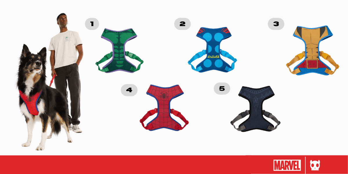 <h3 style="font-size: 24px; font-weight: bold; font-family: 'Poppins', sans-serif;">   Pecheras para perros colección marvel </h3>