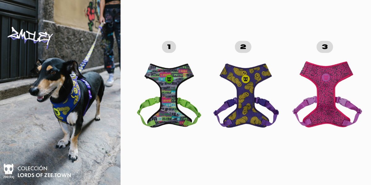 <h3 style="font-size: 24px; font-weight: bold; font-family: 'Poppins', sans-serif;">   Pecheras para perros colección LOZT </h3>