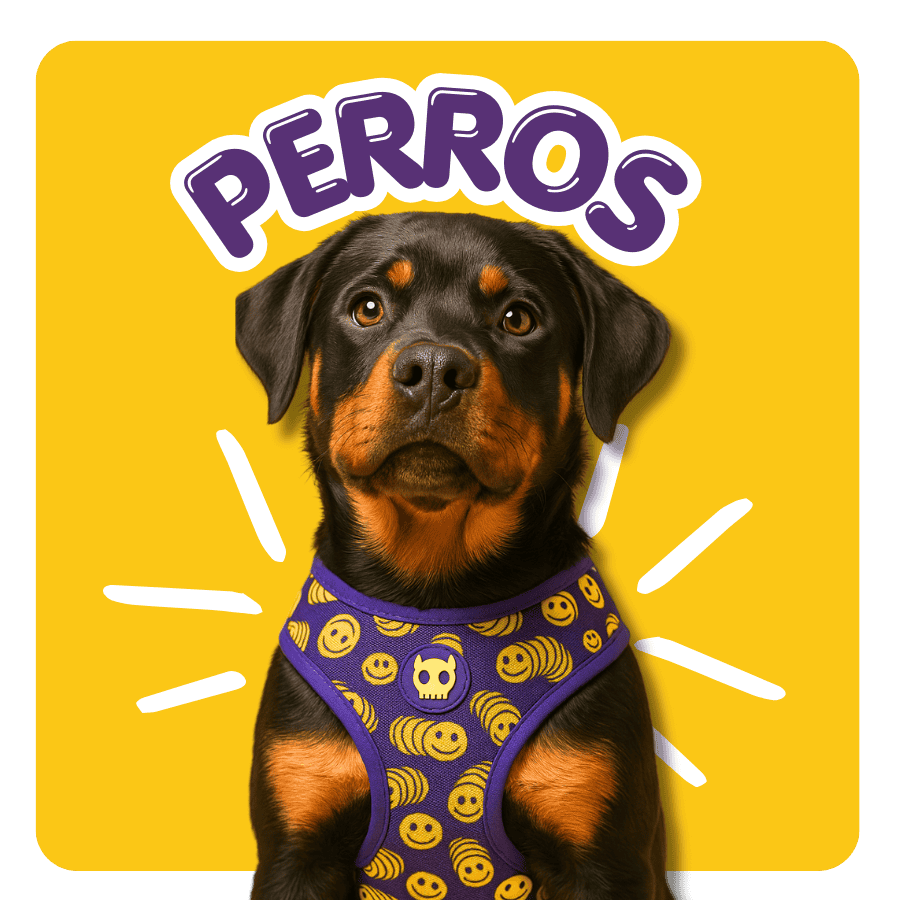 PRODUCTOS PARA PERROS