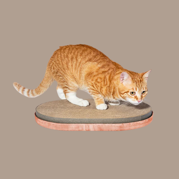 Rascadores para gato