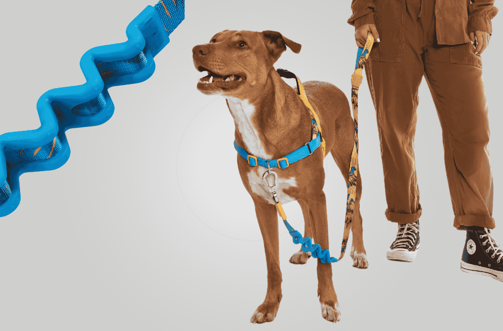 <b>Anti-tirones y con estilo</b>