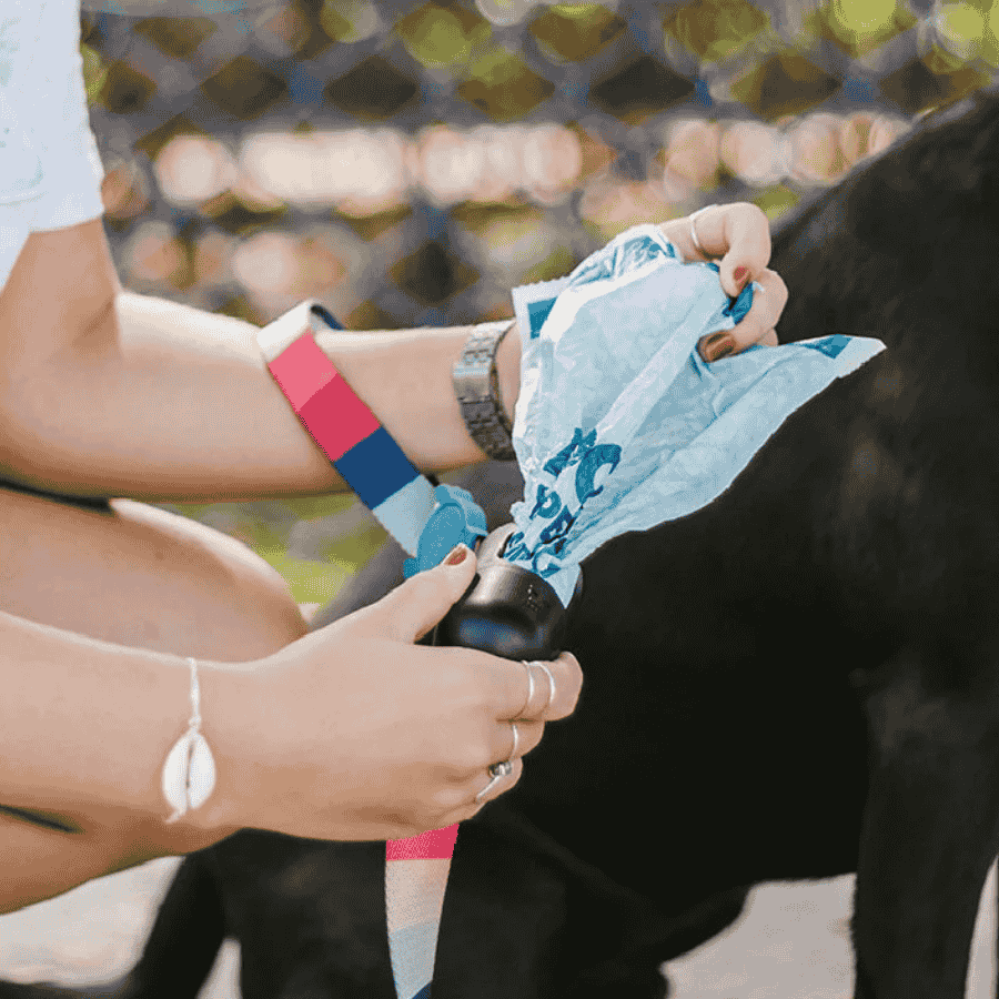 bowls-comedero-zeedog