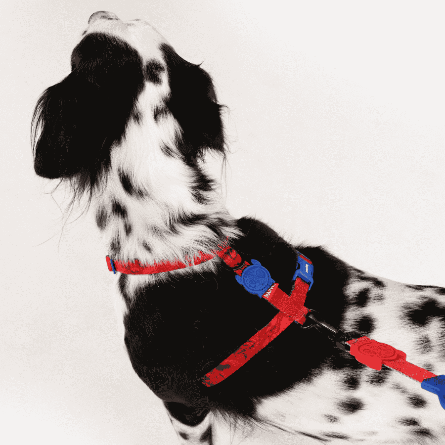 arnés-en-H-perro-zeedog