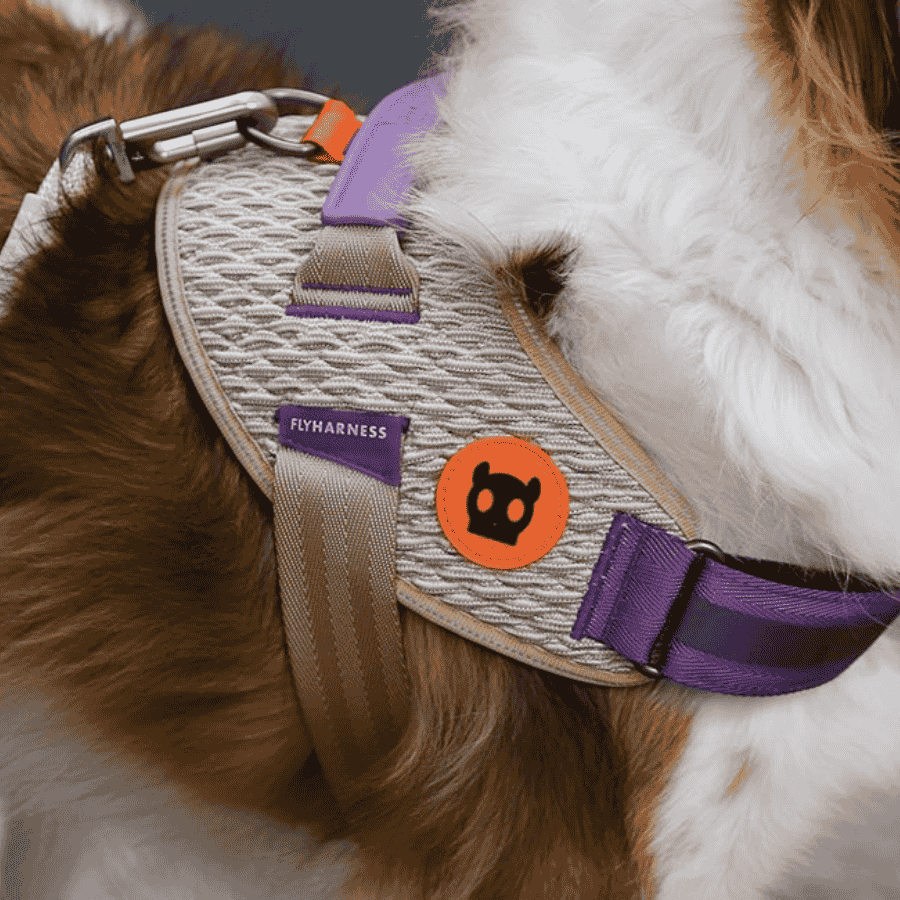 Flyharness-Arnés-antitirones-liviano-perro-zeedog
