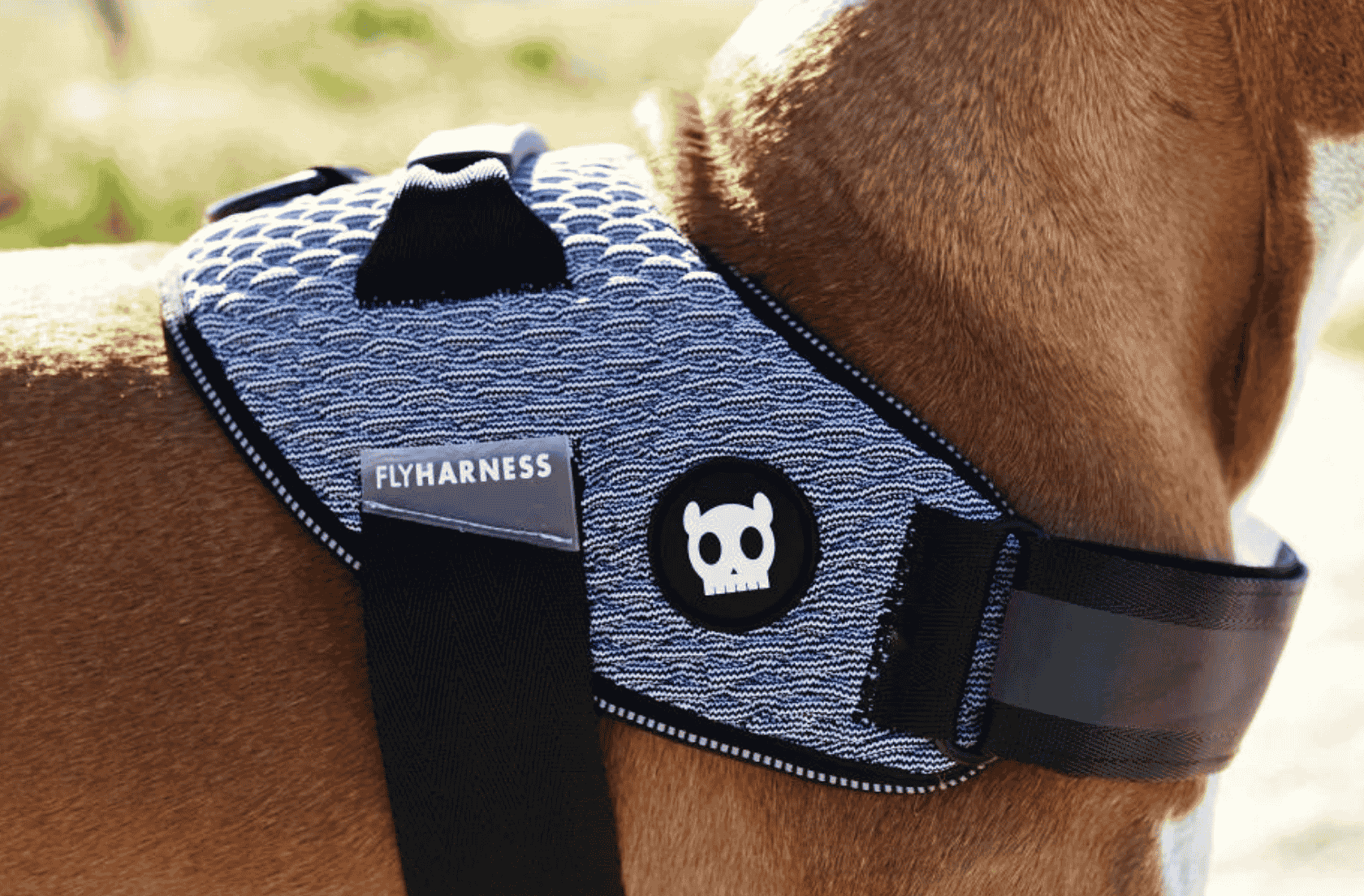 <b>El control más ligero para el día a día</b>