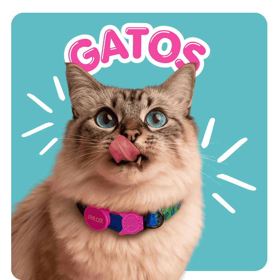 productos para gatos