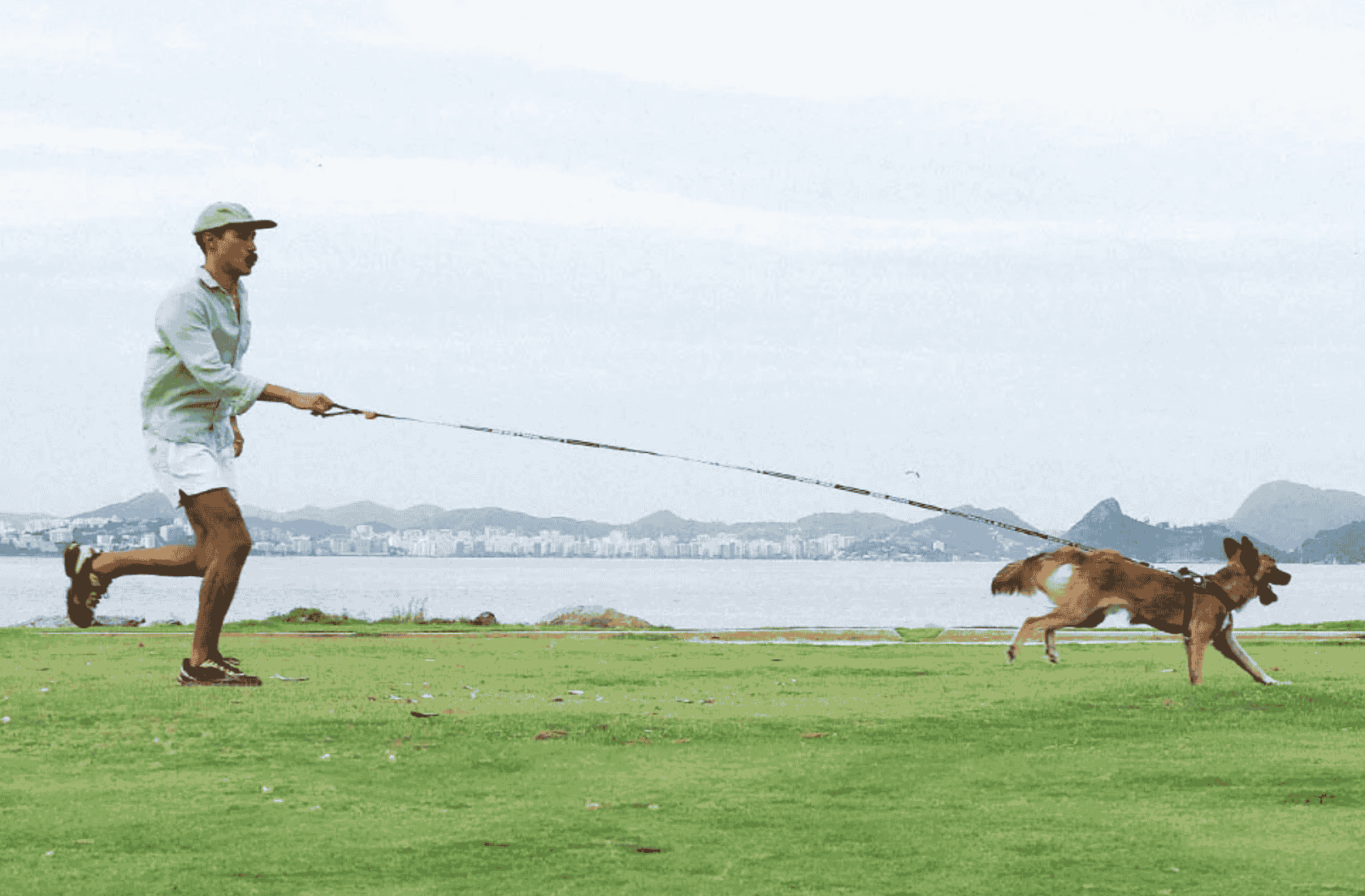 <b>Libertad con control</b>